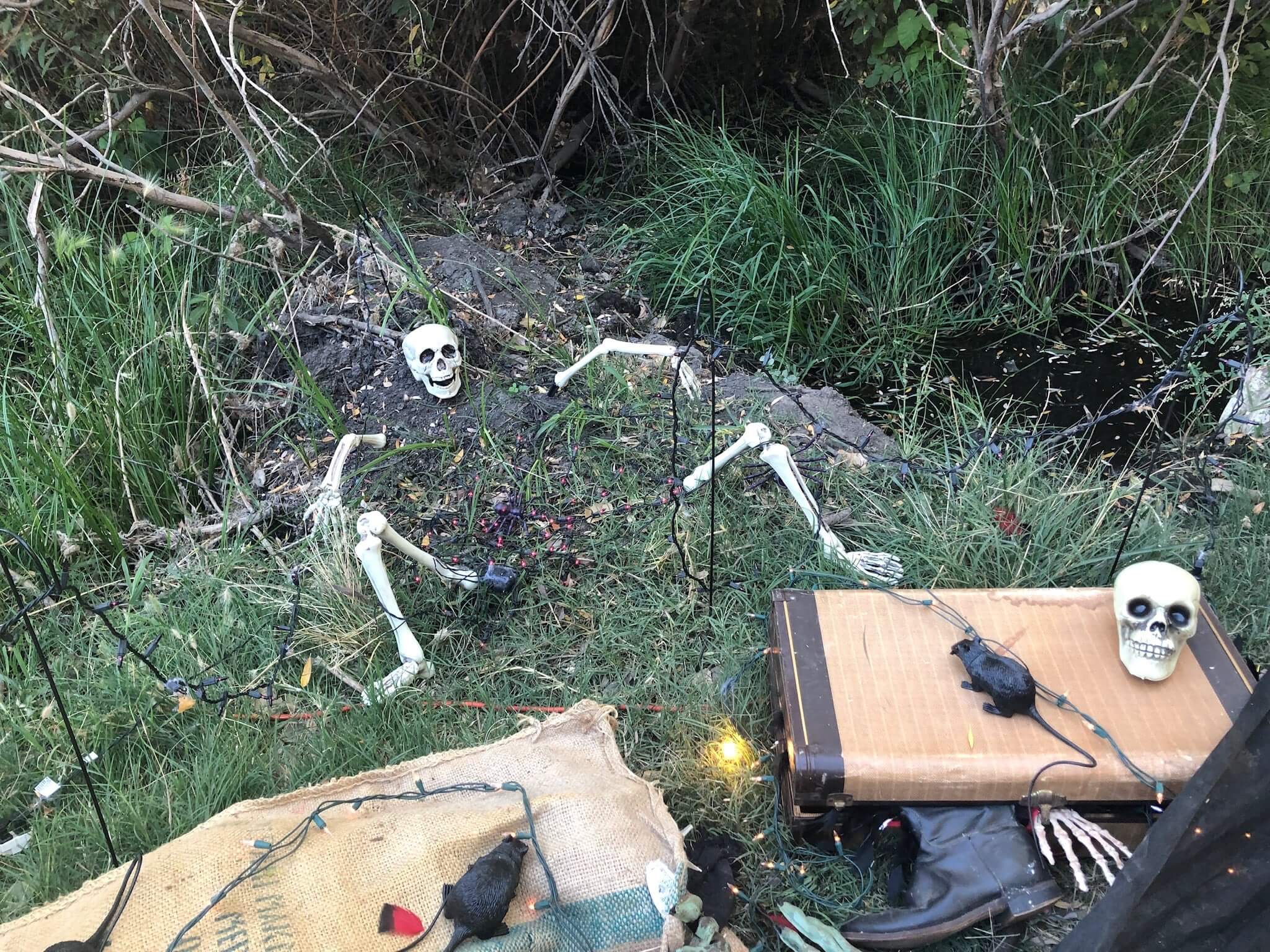 Halloween skeleton half buried